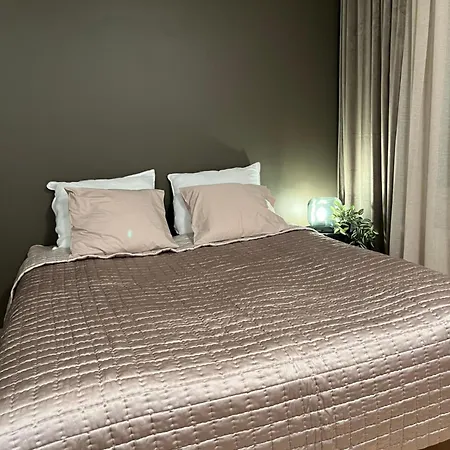 Vip - Close To Airport And Tikkurila Train Station *